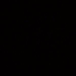 Meet your Posher, Esmeralda